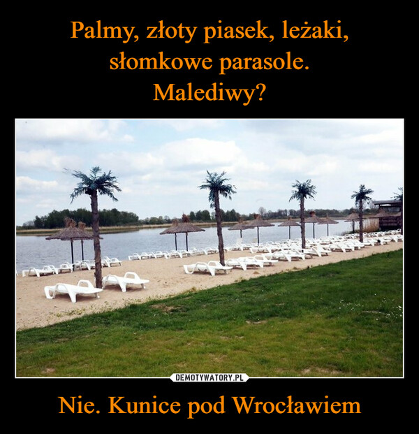 Nie. Kunice pod Wrocławiem –  