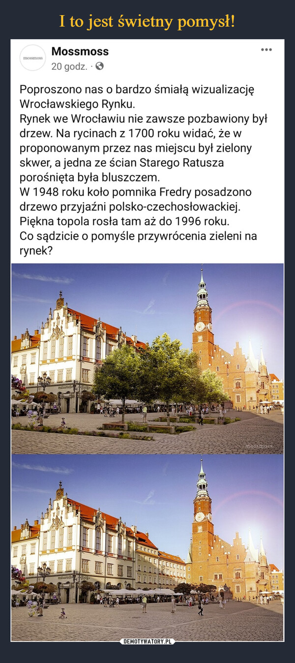  –  Poproszono nas o bardzo śmiałą wizualizację Wrocławskiego Rynku.  Rynek we Wrocławiu nie zawsze pozbawiony był drzew. Na rycinach z 1700 roku widać, że w proponowanym przez nas miejscu był zielony skwer, a jedna ze ścian Starego Ratusza porośnięta była bluszczem. W 1948 roku koło pomnika Fredry posadzono drzewo przyjaźni polsko-czechosłowackiej. Piękna topola rosła tam aż do 1996 roku.Co sądzicie o pomyśle przywrócenia zieleni na rynek?