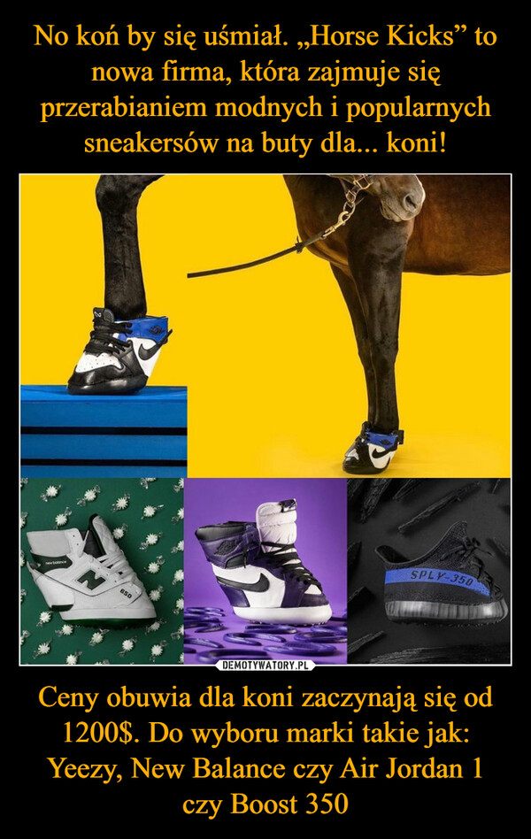 Ceny obuwia dla koni zaczynają się od 1200$. Do wyboru marki takie jak: Yeezy, New Balance czy Air Jordan 1 czy Boost 350 –  
