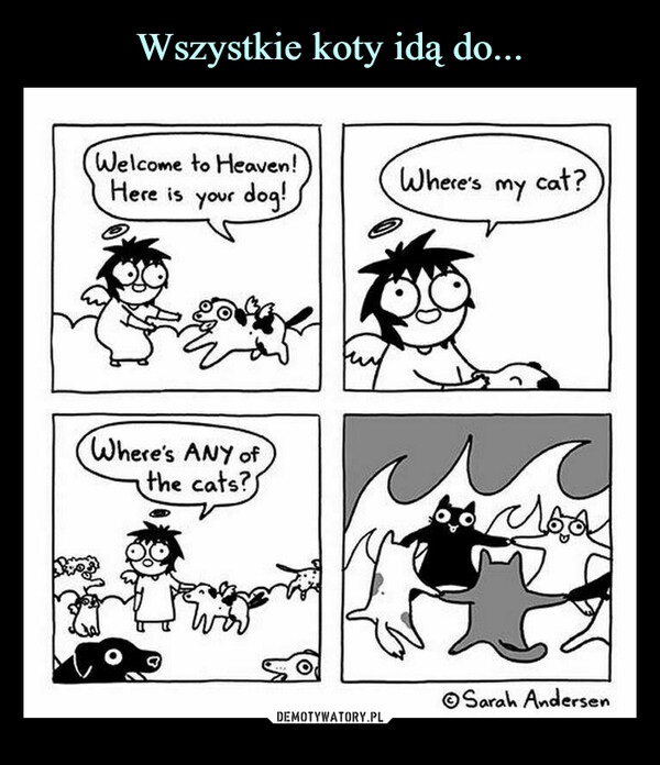  –  (Welcome to Heaven!Here is your dogWheres my cat?(Where's ANY of)the cats?SOSarah Andersen