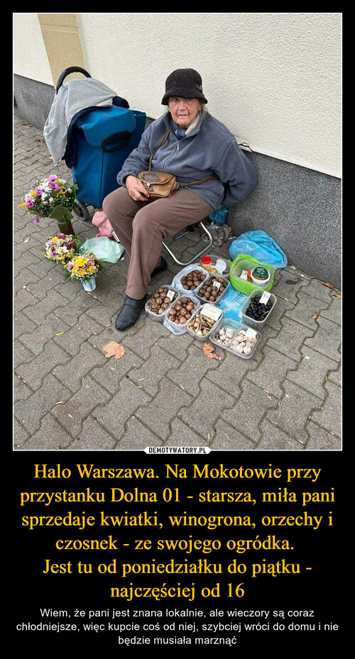 Halo Warszawa. Na Mokotowie przy przystanku Dolna 01 - starsza, miła pani sprzedaje kwiatki, winogrona, orzechy i czosnek - ze swojego ogródka. 
Jest tu od poniedziałku do piątku - najczęściej od 16