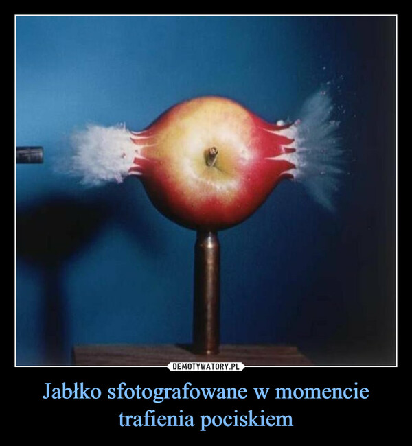 Jabłko sfotografowane w momencie trafienia pociskiem