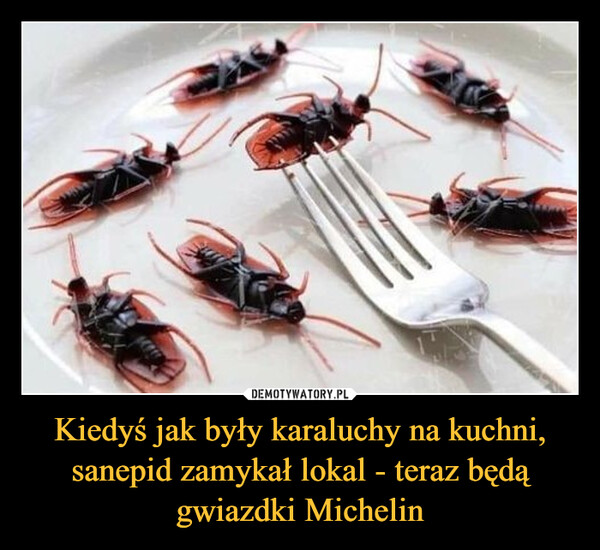 Kiedyś jak były karaluchy na kuchni, sanepid zamykał lokal - teraz będą gwiazdki Michelin –  