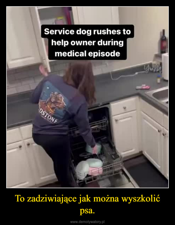 To zadziwiające jak można wyszkolić psa. –  storyfulService dog rushes tohelp owner duringmedical episodeDSTONEyum