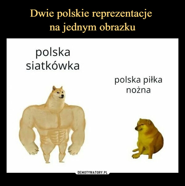 –  polskasiatkówkapolska piłkanożna