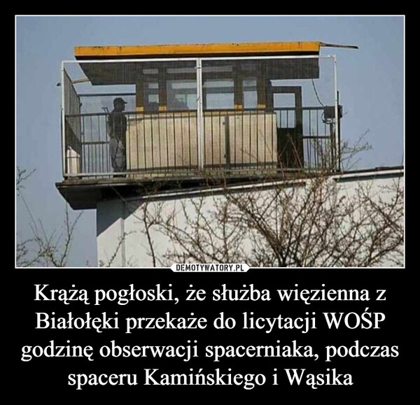 Krążą pogłoski, że służba więzienna z Białołęki przekaże do licytacji WOŚP godzinę obserwacji spacerniaka, podczas spaceru Kamińskiego i Wąsika