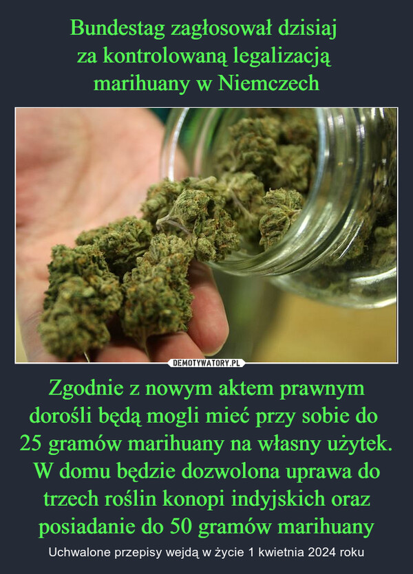 Bundestag zagłosował dzisiaj 
za kontrolowaną legalizacją 
marihuany w Niemczech Zgodnie z nowym aktem prawnym dorośli będą mogli mieć przy sobie do 
25 gramów marihuany na własny użytek. W domu będzie dozwolona uprawa do trzech roślin konopi indyjskich oraz posiadanie do 50 gramów marihuany