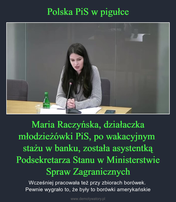 Maria Raczyńska, działaczka młodzieżówki PiS, po wakacyjnym stażu w banku, została asystentką Podsekretarza Stanu w Ministerstwie Spraw Zagranicznych – Wcześniej pracowała też przy zbiorach borówek. Pewnie wygrało to, że były to borówki amerykańskie 
