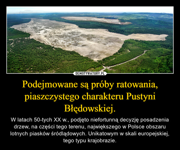 Podejmowane są próby ratowania, piaszczystego charakteru Pustyni Błędowskiej. – W latach 50-tych XX w., podjęto niefortunną decyzję posadzenia drzew, na części tego terenu, największego w Polsce obszaru lotnych piasków śródlądowych. Unikatowym w skali europejskiej, tego typu krajobrazie. 
